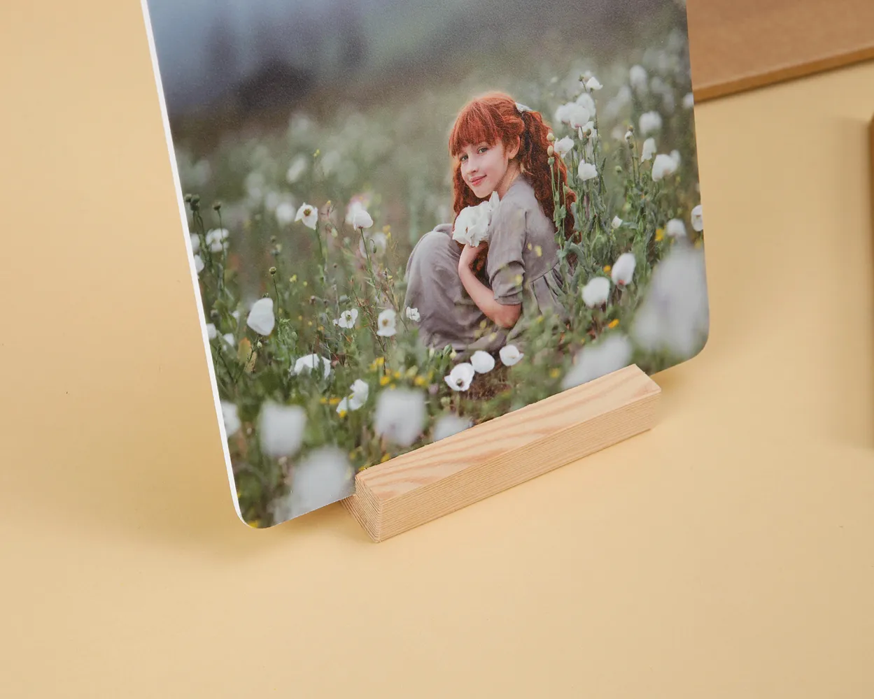 Packaging Creativo<br>Pack 2B