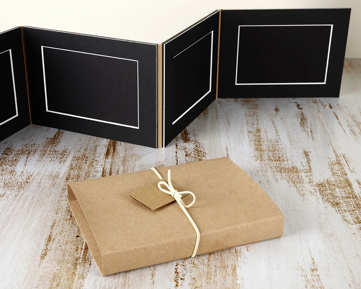 Dípticos Trípticos Cuadrípticos PP (Sin foto)